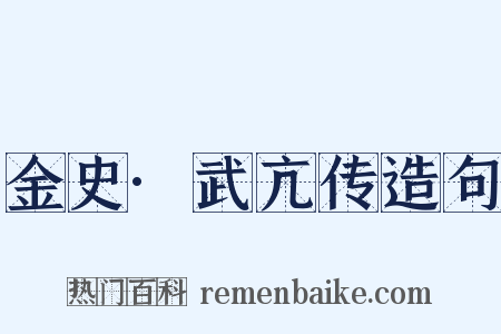 金史·武亢传造句是什么意思的图片